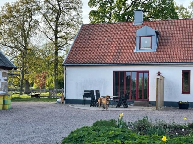 Ormanasgarden Apartment Höör Екстериор снимка